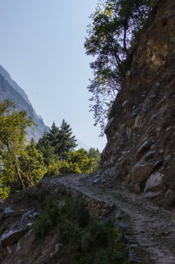 Himalayalar 'daki dağların yamacında dar bir patika.