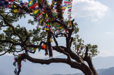 Swayambhunath, Nepal 'de bir tepede kurdeleli ağaç