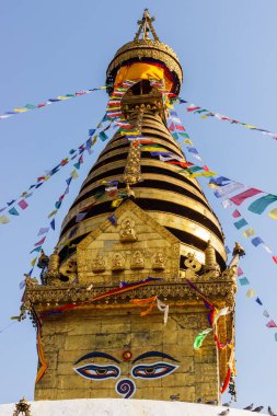 Nepal 'in Swayambhunath bölgesinde bir tepede budist bir ahmak.