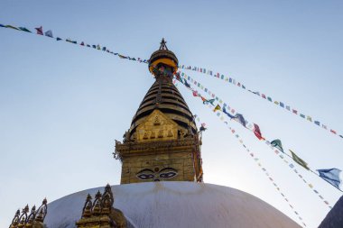 Nepal 'in Swayambhunath bölgesinde bir tepede budist bir ahmak.