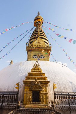 Nepal 'in Swayambhunath bölgesinde bir tepede budist bir ahmak.
