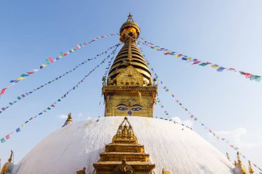 Nepal 'in Swayambhunath bölgesinde bir tepede budist bir ahmak.