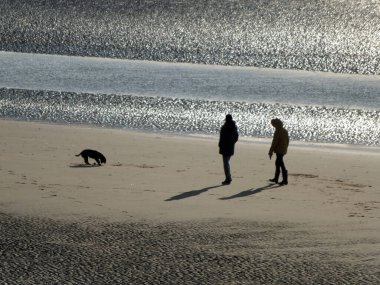 Çiftler güneş ışığı altında gecenin erken saatlerinde evcil bir köpekle sahilde yürürken suya ışık yansıyor.