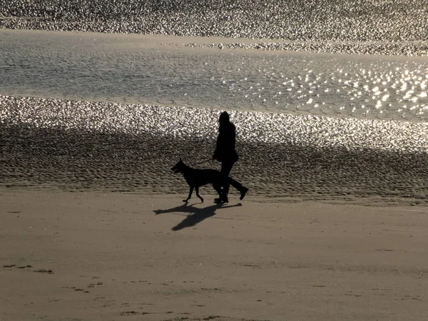 Couple Backlit Sunlight Walking Beach Pet Dog Early Evening Light — Stock Photo, Image