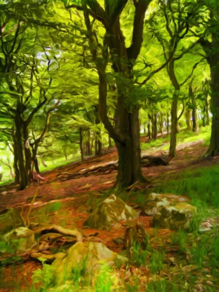 Digitální Impresionistická Malba Lesní Scény Velkými Buky Listy Ozářenými Jasným — Stock fotografie