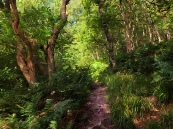 Digitální Impresionistická Malba Husté Zelené Lesní Cesty Kapradím Trávou Vysokými — Stock fotografie