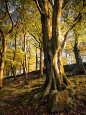 Batı Yorkshire 'daki Hillside ormanının dijital yağlı boya tablosu ve yazın eski kayın ağaçları.