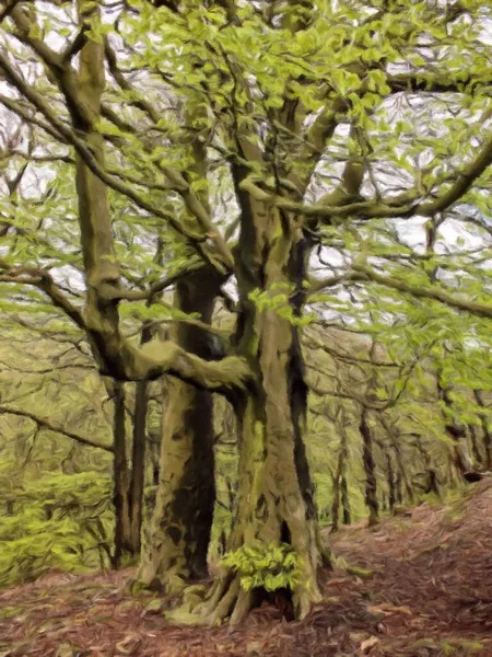 Uzun, görkemli kayın ağaçlarının dijital tablosu canlı yeşil bahar yaprakları yosun kabuğu ve New York 'taki yamaçların büyük kökleriyle kaplı.
