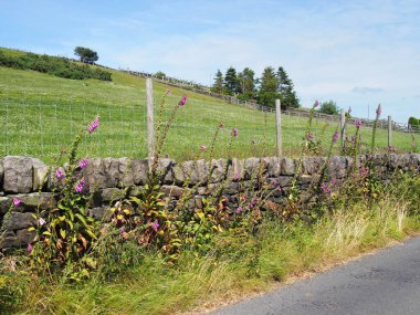 dry stone wall in front of a hillside grass covered meadow in calderdale west yorkshire