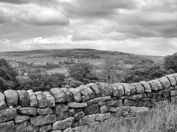 Monochrome Landscape Image Dry Stone Wall Front Tree Lined Valley — Stockfoto