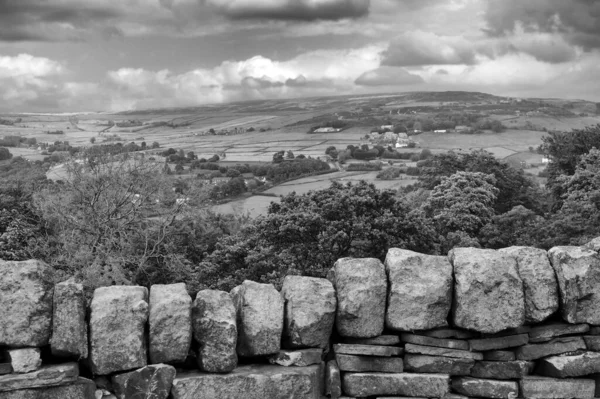 Monochrome Landscape Image Dry Stone Wall Front Tree Lined Valley — Stockfoto