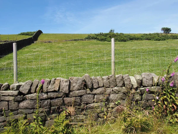 Dry Stone Wall Front Hillside Grass Covered Meadow Calderdale West — Stockfoto