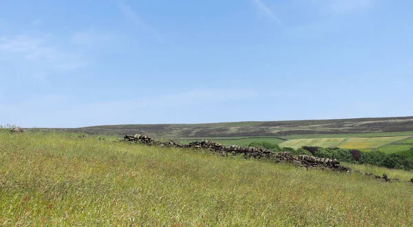 Vista Sulla Valle Calder Nello Yorkshire Occidentale Con Brughiera Visibile — Foto Stock