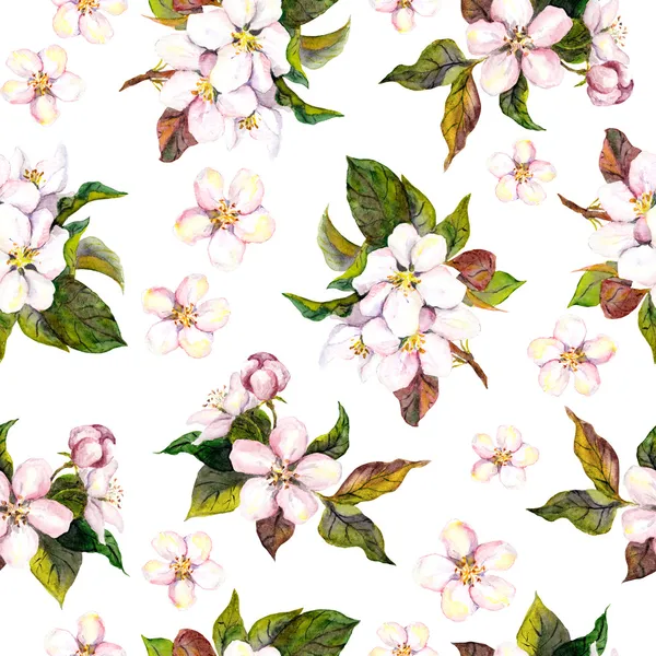 Patrón floral sin costuras - flor de manzana rosa y flor de cerezo. Acuarela — Foto de Stock