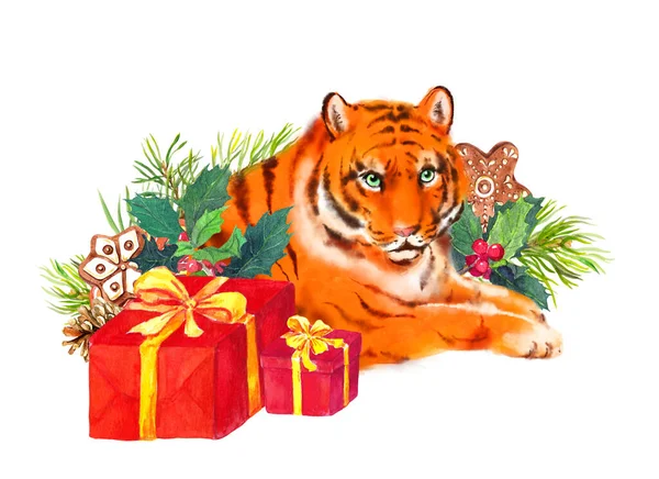 Tigre alegre y cajas de regalo en ramas de árbol de Navidad. Hermoso animal salvaje con galletas de jengibre, abeto, ramitas de pino, muérdago. Año Nuevo chino 2022 acuarela diseño — Foto de Stock