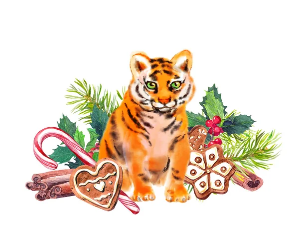 Bebé tigre, ramas de árbol de Navidad, dulces navideños. Año chino de Tigre 2022 ilustración de acuarela para. Lindo gato salvaje con galletas de jengibre — Foto de Stock