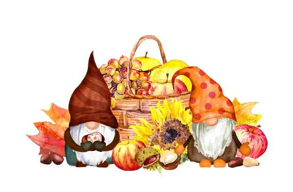 Lindos gnomos con frutas de otoño, verduras, flores. Cesta con manzanas, uva, nueces, hojas de arce. Iilustración pintada a mano para el diseño de Acción de Gracias — Foto de Stock