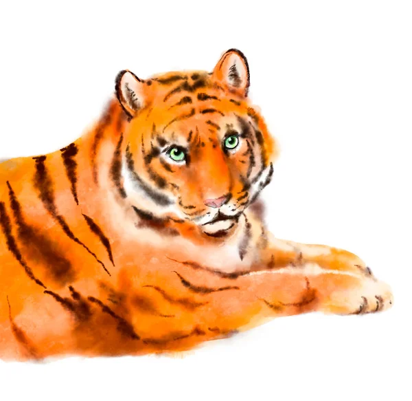 Lying tiger. Watercolor painted illustration for the chinese new year 2022 — Stock Photo, Image