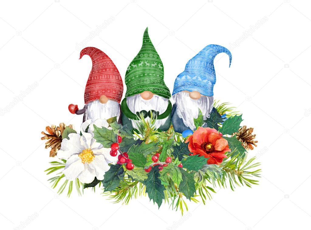 Gnomes family in Christmas bouquet - winter flowers, spruce branches, pine tree twigs, xmas mistletoe. Watercolor