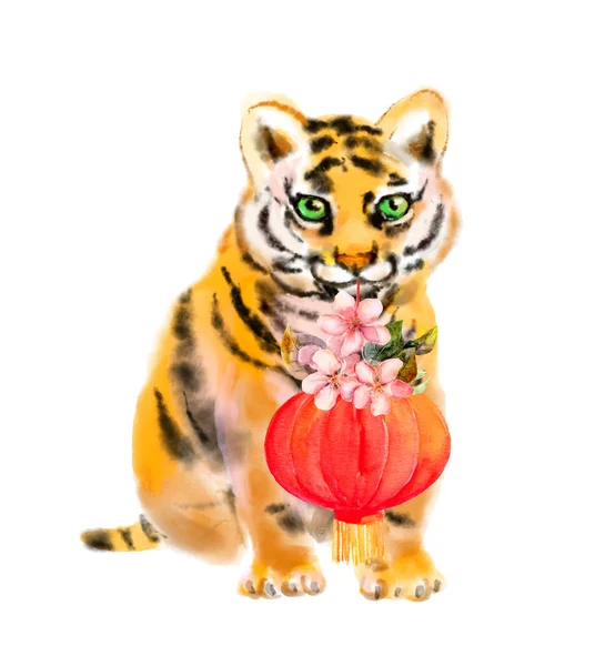 Little cute tiger cub with red holiday lantern, cherry blossom flowers. Watercolor animal of chinese new year 2022 — Fotografia de Stock