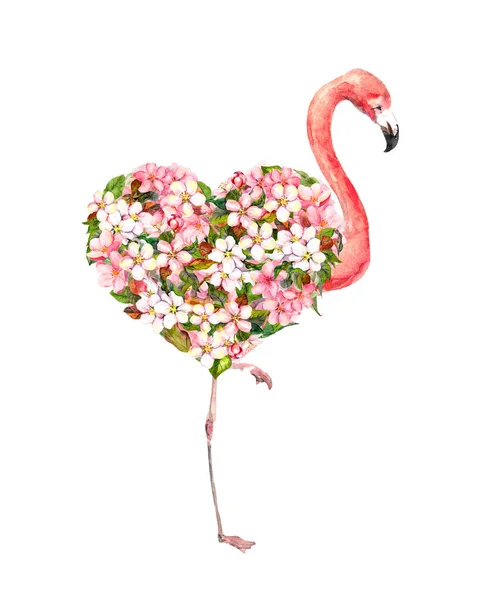 Pink flamingo bird with floral heart - spring cherry blossom. White, pink flowers. Watercolor for Valentine day —  Fotos de Stock