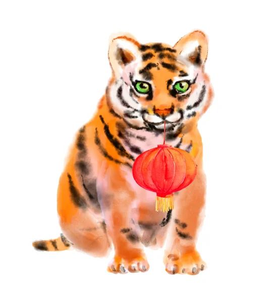 Tigre animal de estimação com lanterna chinesa tradicional. Aquarela animal para o ano novo chinês 2022 — Fotografia de Stock
