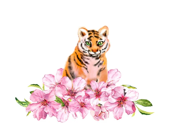 Tigre jovem em flores rosa de maçã, flor de cereja. Animal aquarela para o ano novo chinês 2022. Animal de estimação gato selvagem e ameixa, pêssego florescendo — Fotografia de Stock