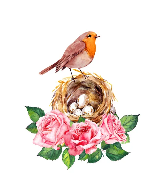 Fågel och bo med ägg i rosa rosenblommor. Blommig akvarell för mors dag — Stockfoto