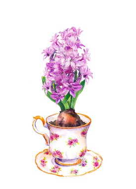 Pembe sümbül çiçekli klasik çay bardağı. Suluboya ev yapımı bitki
