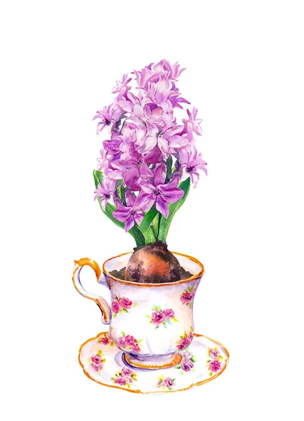 古色古香的茶杯，粉红色的风信子花。水彩春土长的植物 — 图库照片