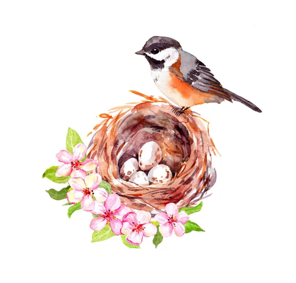 Pássaro pequeno no ninho com ovos, flores cor-de-rosa de primavera. Flor de cerejeira com animal. Aquarela floral vintage — Fotografia de Stock
