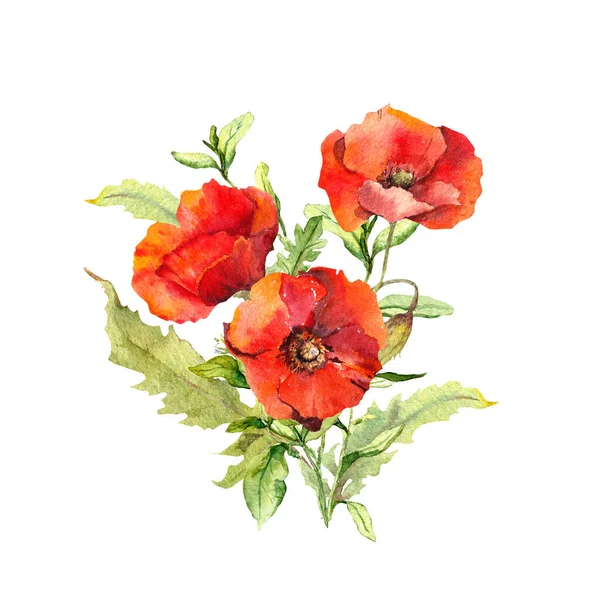 Bouquet floral de coquelicots. Illustration de fleurs sauvages aquarelle — Photo