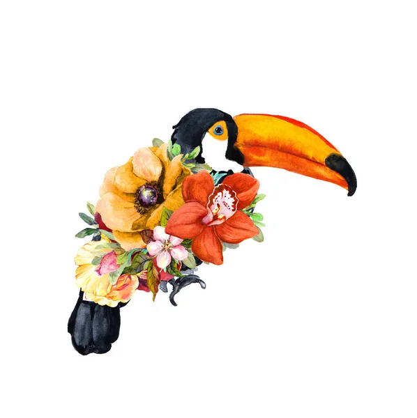 Pássaro tucano com flores. Ilustração floral aquarela — Fotografia de Stock