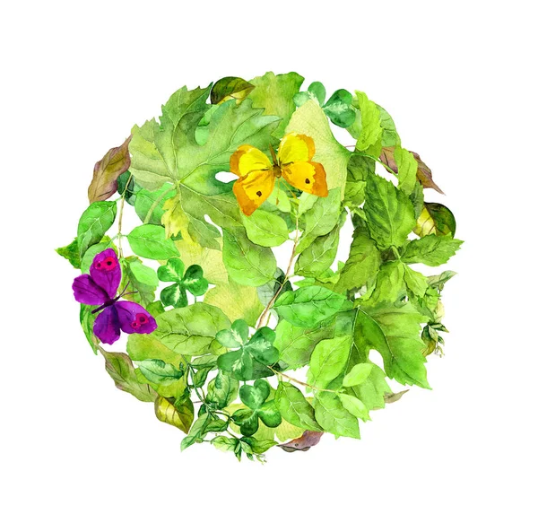 Круглий фон з зеленим листям, метелики. Акварель — стокове фото