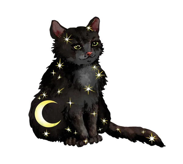 Черный кот со звездами. Акварель с фантастическим ночным изображением для сакрального, астрономического, духовного дизайна — стоковое фото