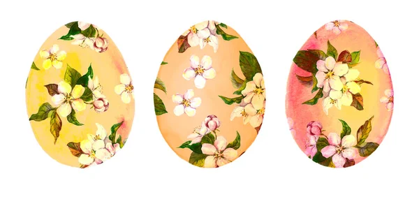 Set van paaseieren met lente kersenbloesem bloemen. Bloemen aquarel — Stockfoto