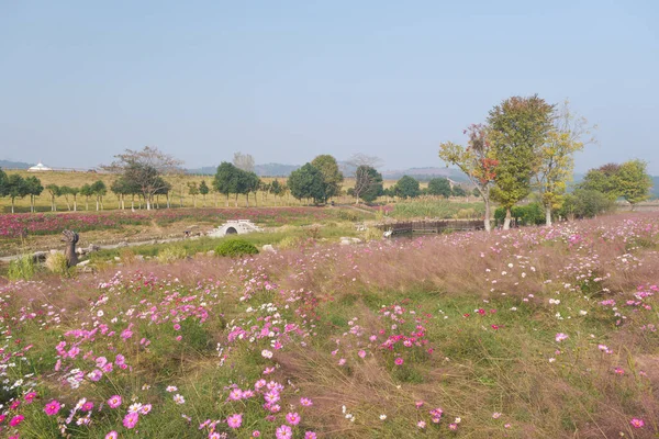 Wuhan, Hubei Eyaleti, Çin 'deki Mulan çayır manzarasının erken dönem manzarası