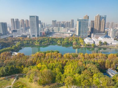 Wuhan, Hubei, Çin 'deki Houxianghe Park' ın sonbahar manzarası