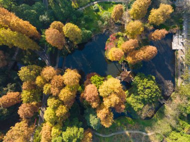 Wuhan Botanik Bahçesinde sonbahar manzarası, Hubei, Çin
