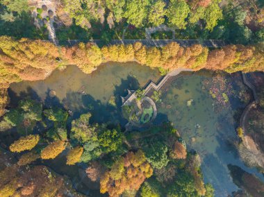 Wuhan Botanik Bahçesinde sonbahar manzarası, Hubei, Çin
