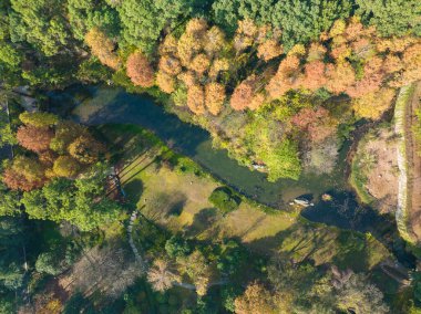 Wuhan Botanik Bahçesinde sonbahar manzarası, Hubei, Çin