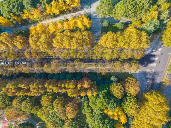Wuhan, Hubei, Çin 'deki Houxianghe Park' ın sonbahar manzarası