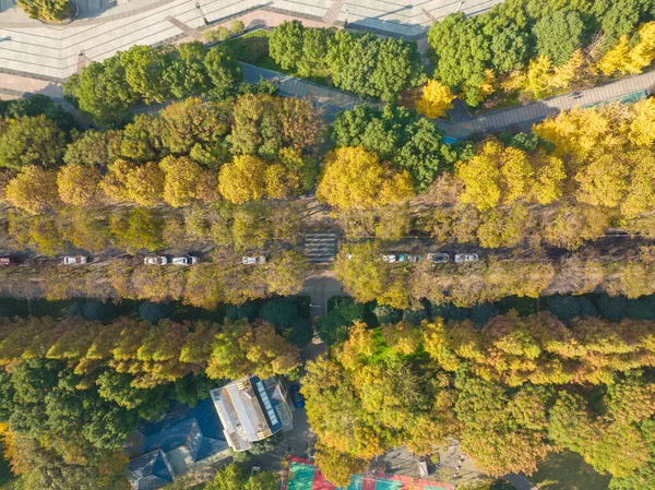 Paisagem Outono Houxianghe Park Wuhan Hubei China — Fotografia de Stock