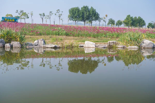 Paisaje Verano Temprano Los Pastizales Mulan Lugar Escénico Wuhan Provincia — Foto de Stock