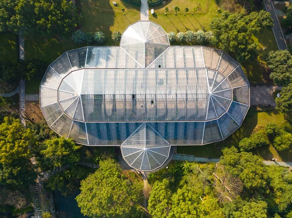 Wuhan Botanik Bahçesinde sonbahar manzarası, Hubei, Çin