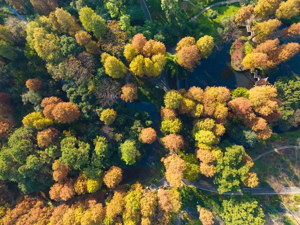 Wuhan Botanik Bahçesinde sonbahar manzarası, Hubei, Çin