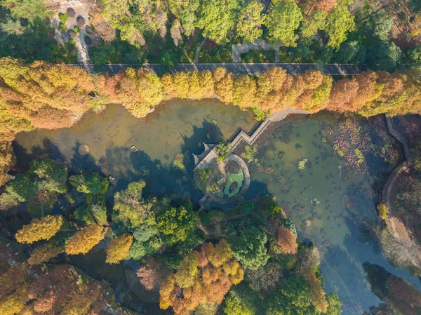 Wuhan Botanik Bahçesinde sonbahar manzarası, Hubei, Çin