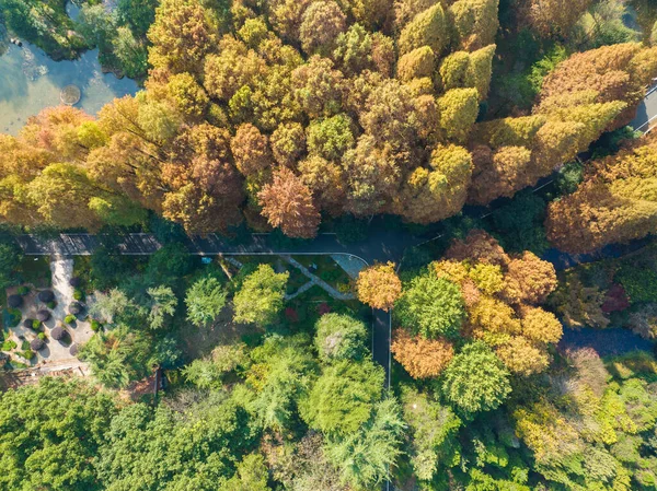 Φθινόπωρο Τοπίο Wuhan Βοτανικός Κήπος Hubei Κίνα — Φωτογραφία Αρχείου