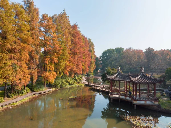 Wuhan Botanik Bahçesinde Sonbahar Manzarası Hubei Çin — Stok fotoğraf