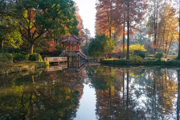 Wuhan Botanik Bahçesinde Sonbahar Manzarası Hubei Çin — Stok fotoğraf